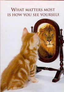 cat lion mirror